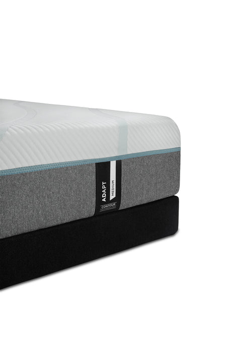 Tempur Adapt lowrysfurniturestore
