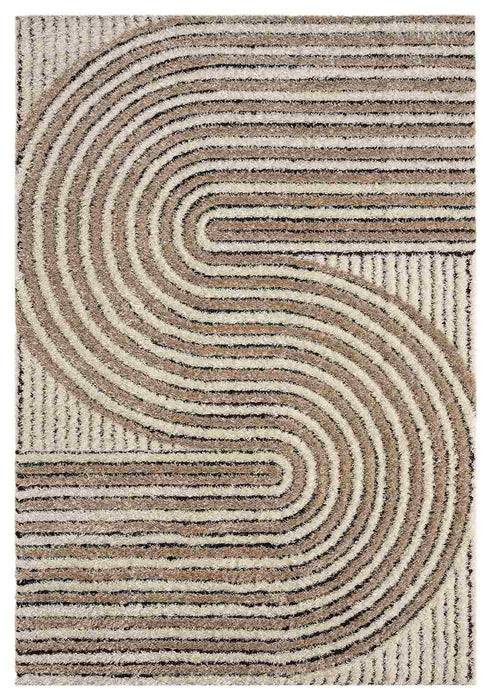 5D SHAGGY Rug Design 6421