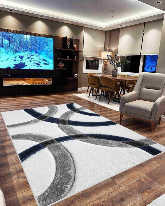 4D SHAGGY Rug Design 6491
