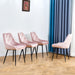 Modern Pink Velvet Dining Chairs (set of 2) lowrysfurniturestore